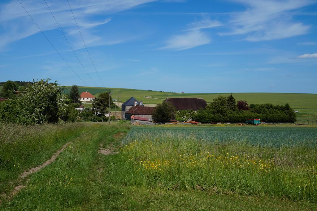 La Grille Fleurie, Chambres D'Hote Chez L'Habitant アルトネ エクステリア 写真
